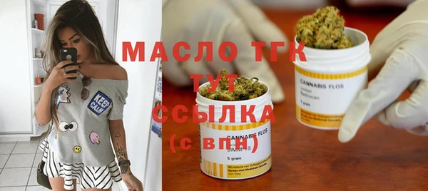МДПВ Бородино