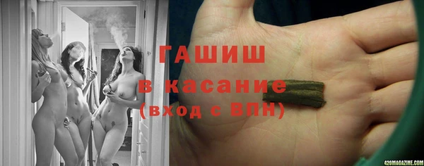 МДПВ Бородино