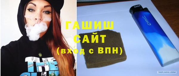 МДПВ Бородино