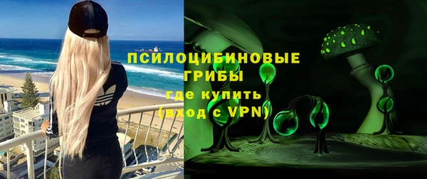МДПВ Бронницы
